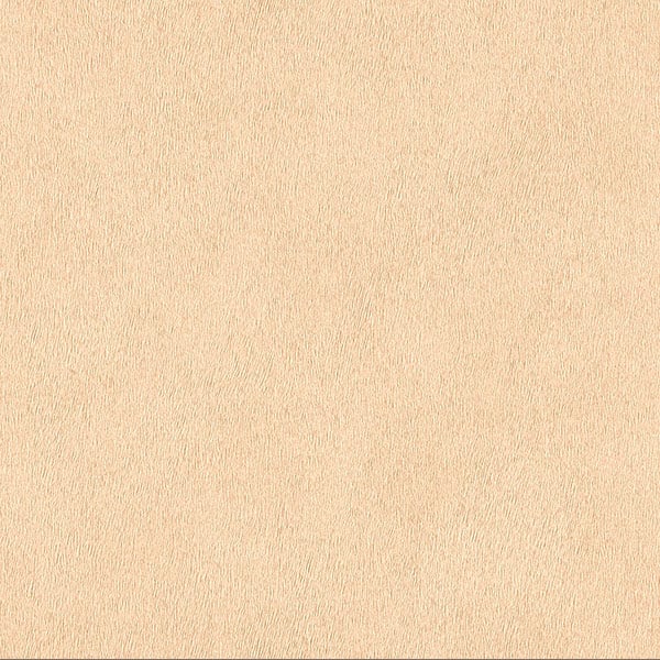 Galerie Wallpaper Product code: 422368 - African Queen 2 Wallpaper Collection -   