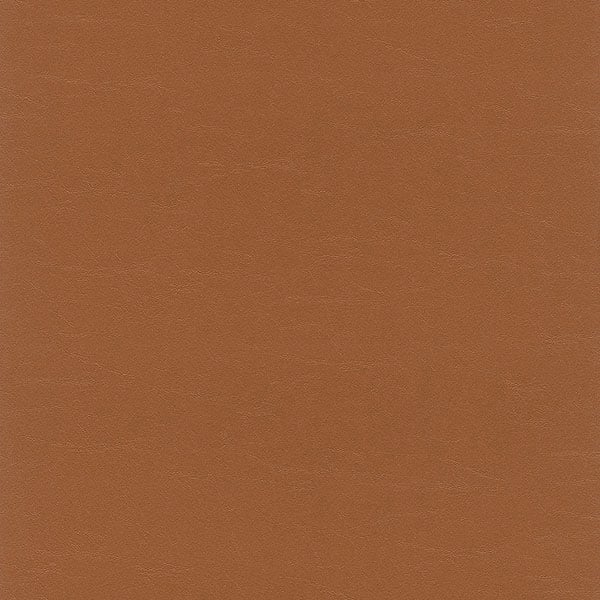 Galerie Wallpaper Product code: 474220 - African Queen 2 Wallpaper Collection -   