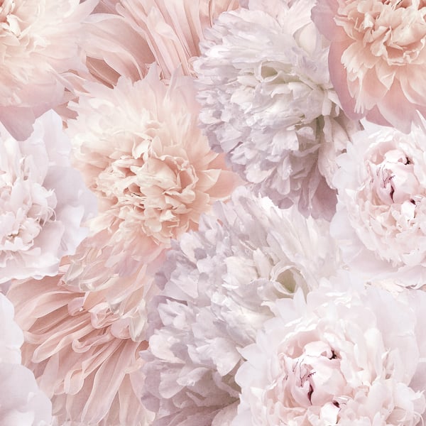 Galerie Wallpaper Product code: A77501_8 - One Roll One Motif II Wallpaper Collection - Pink Colours -  