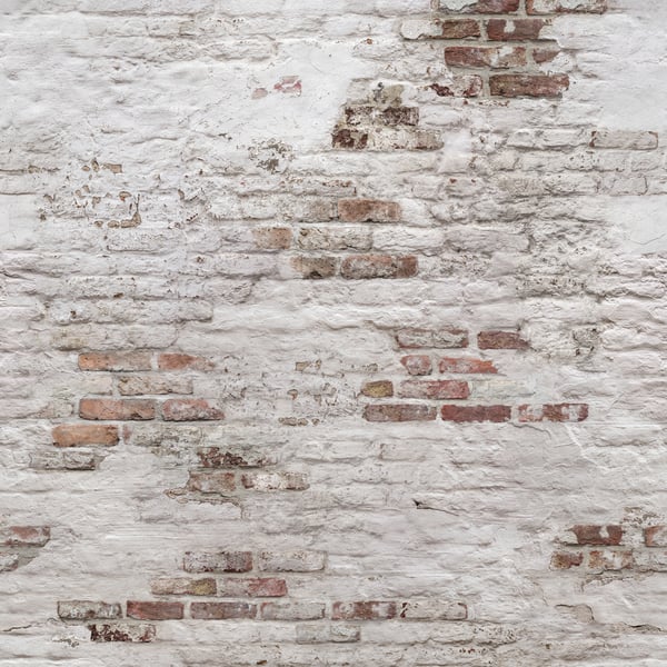 Galerie Wallpaper Product code: EP6101_8 - One Roll One Motif II Wallpaper Collection - White colours Colours -  