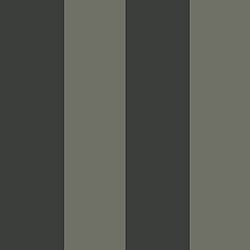 Galerie Wallcoverings Product Code 35969 - Ornamenta Wallpaper Collection - Anthracite Grey Colours - Wide Stripe Design