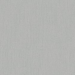 Galerie Wallcoverings Product Code DC30121 - Designer Colours Wallpaper Collection - Silver Grey Colours - Climbing Texture Design