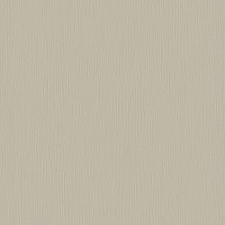Galerie Wallcoverings Product Code DC30192 - Designer Colours Wallpaper Collection - Beige Colours - Stripe Texture Design