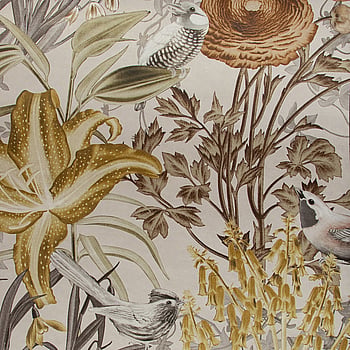 Galerie Wallcoverings Product Code 26728 - Tropical Wallpaper Collection - Coconut Colours -  