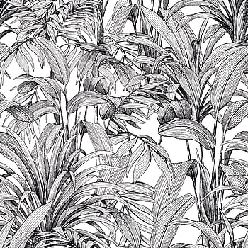 Galerie Wallcoverings Product Code A58301 - One Roll One Motif II Wallpaper Collection - Black Colours -  