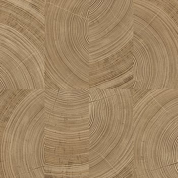 Galerie Wallcoverings Product Code A69102 - Karuna Wallpaper Collection - Brown Colours -  