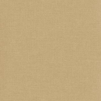 Galerie Wallcoverings Product Code A71011 - Inia Wallpaper Collection - Brown Colours -  