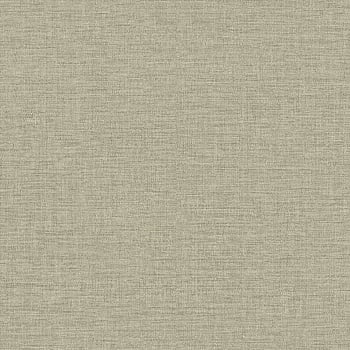 Galerie Wallcoverings Product Code CO1018 - Concept Wallpaper Collection - Green Colours -  