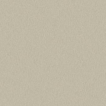 Galerie Wallcoverings Product Code DC30053 - Designer Colours Wallpaper Collection - Beige Colours -  
