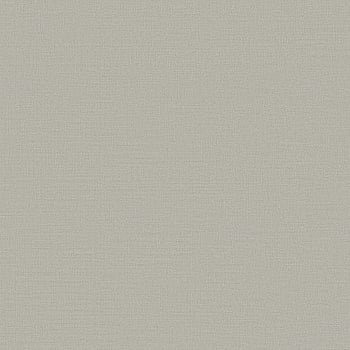 Galerie Wallcoverings Product Code DC30202 - Designer Colours Wallpaper Collection - Silver Grey Colours -  