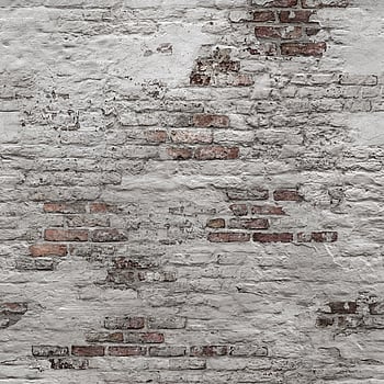 Galerie Wallcoverings Product Code EP6102 - One Roll One Motif II Wallpaper Collection - Grey Colours -  